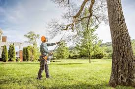 Best Lawn Maintenance Plans  in Harrisonburg, VA